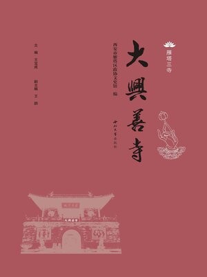 cover image of 大兴善寺